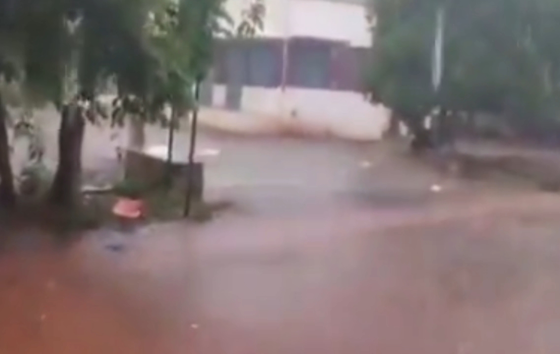 புதுக்கோட்டையில் 8 மி.மீ மழைப்பதிவு புதுக்கோட்டையில் 8 மி.மீ மழைப்பதிவு