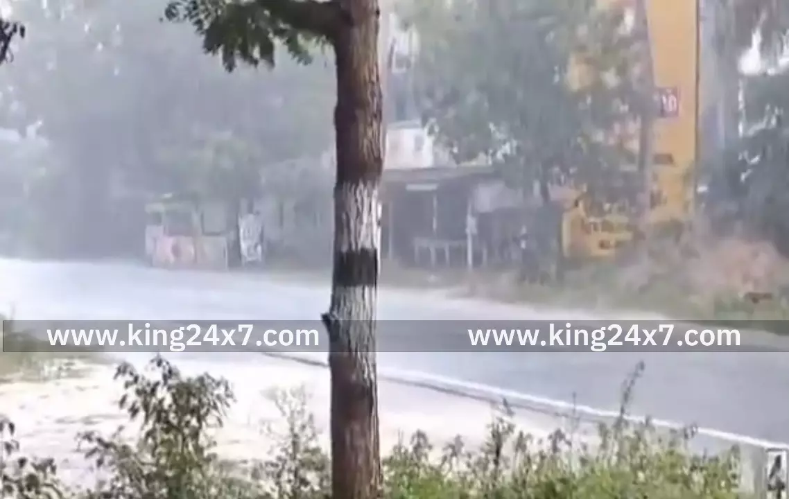 புதுக்கோட்டையில் 8 மி.மீ மழைப்பதிவு புதுக்கோட்டையில் 8 மி.மீ மழைப்பதிவு