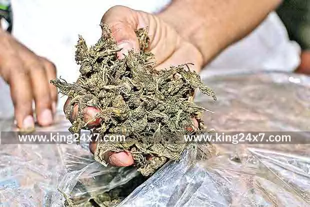 சேலத்தில் கஞ்சா விற்ற அண்ணன், தம்பி கைது