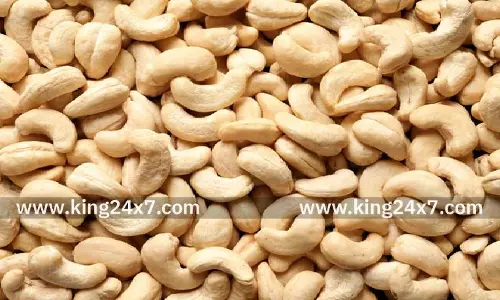 அமெரிக்காவின் வரி விதிப்பால் முந்திரி பருப்பு ஏற்றுமதி பாதிப்பு!!