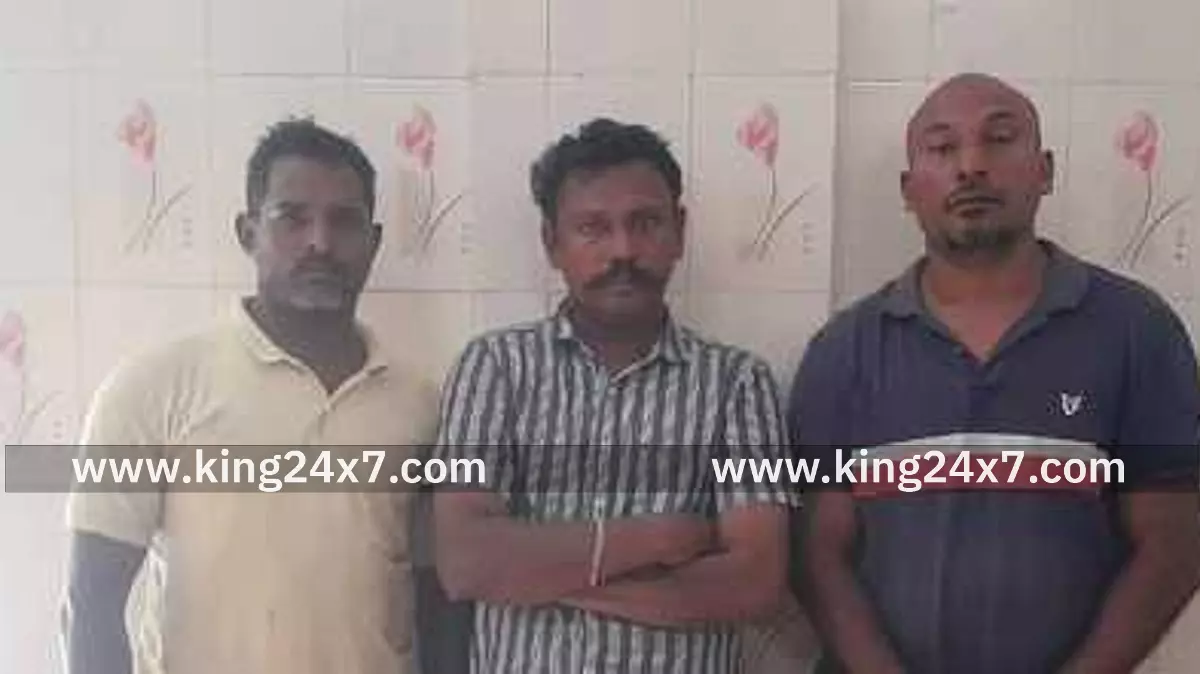 ஆலங்குளம் அருகே மான் வேட்டை: 3 போ் கைது ஆலங்குளம் அருகே மான் வேட்டை: 3 போ் கைது