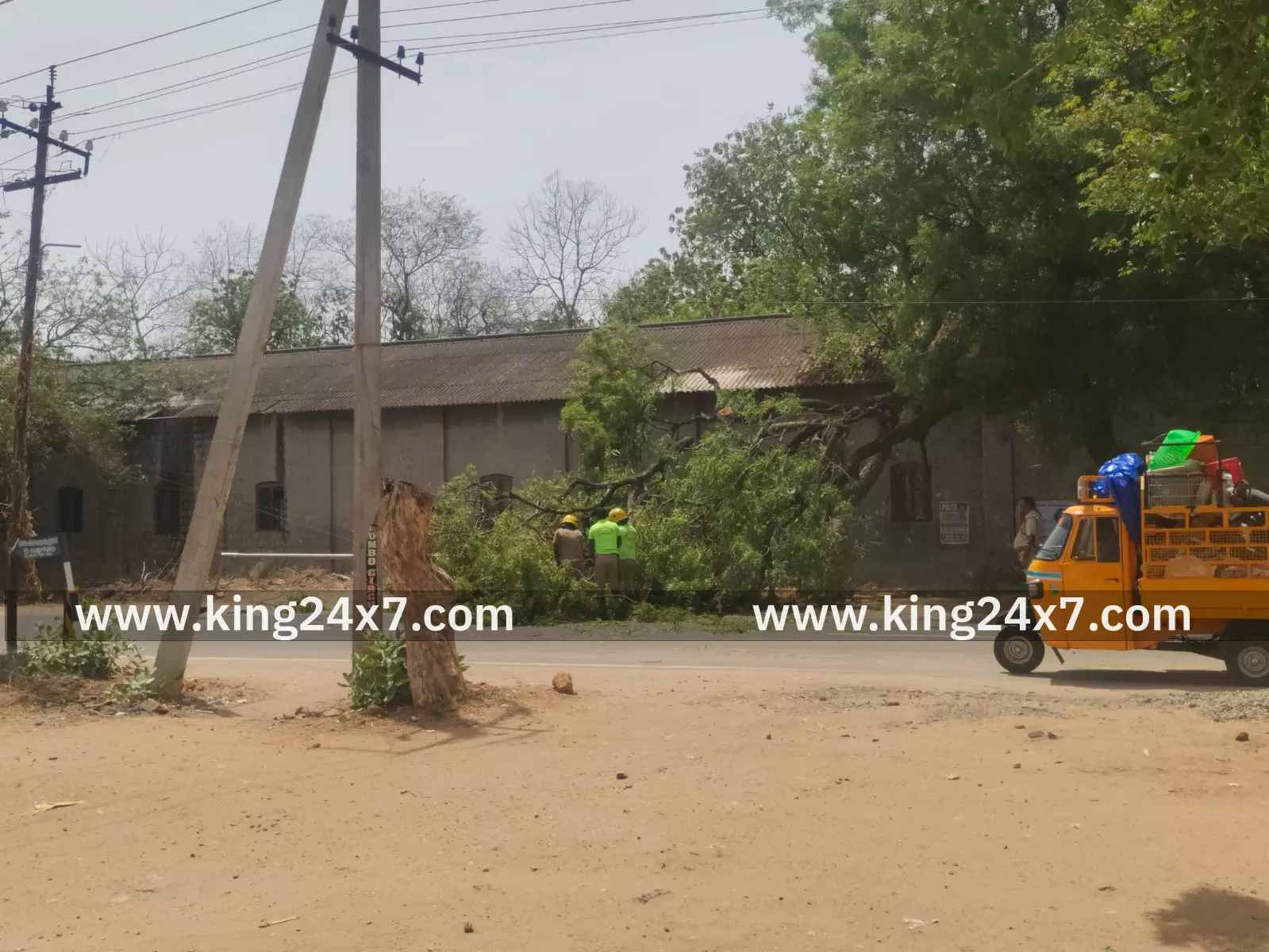 பேட்டையில் உடைந்து விழுந்த மரம் பேட்டையில் உடைந்து விழுந்த மரம்