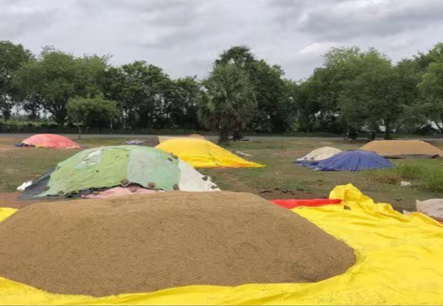 நேரடி நெல் கொள்முதல் நிலையம் அமைக்க விவசாயிகள் எதிர்பார்ப்பு