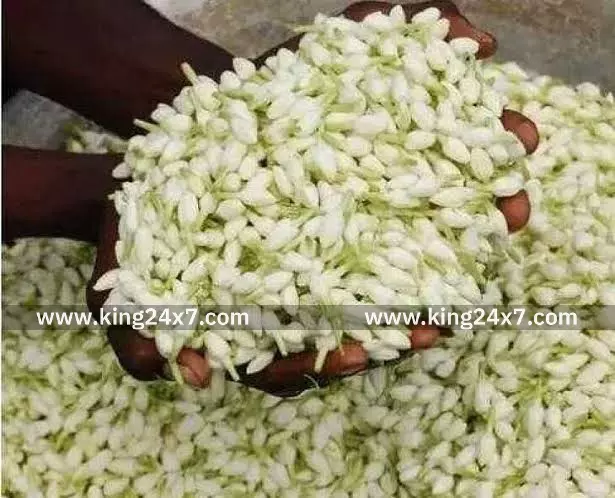 சங்கரன்கோவில் பூ மார்க்கெட்டில் இன்றைய விலை நிலவரம்