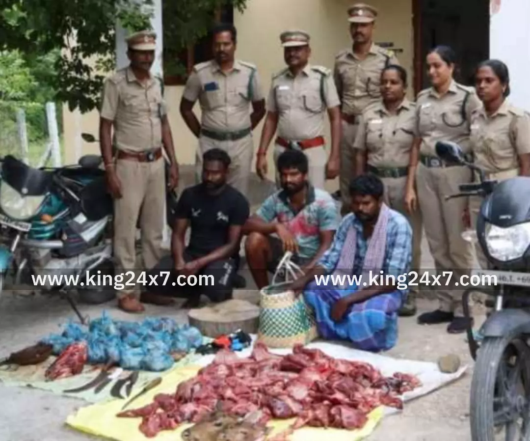 நாய்களை வைத்து வனவிலங்குளை வேட்டையாடி, கூறுபோட்டு கறி விற்ற 3 பேர் கைது! இறந்த நாய்கறியை மான்கறி என விற்றது விசாரணையில் அம்பலம்