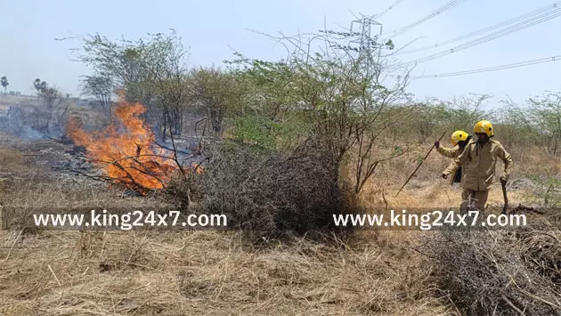 தூத்துக்குடி அருகே மூன்று இடங்களில் தீ விபத்து தூத்துக்குடி அருகே மூன்று இடங்களில் தீ விபத்து