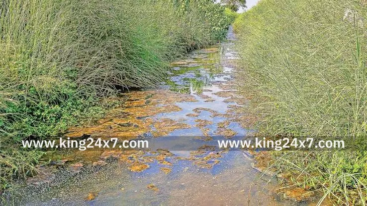 வாய்க்கால் தூர் வாரக் கோரிக்கை