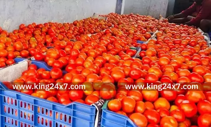 சங்கரன்கோவில் காய்கறி மார்க்கெட்டில் இன்று தக்காளி விலை சரிவு