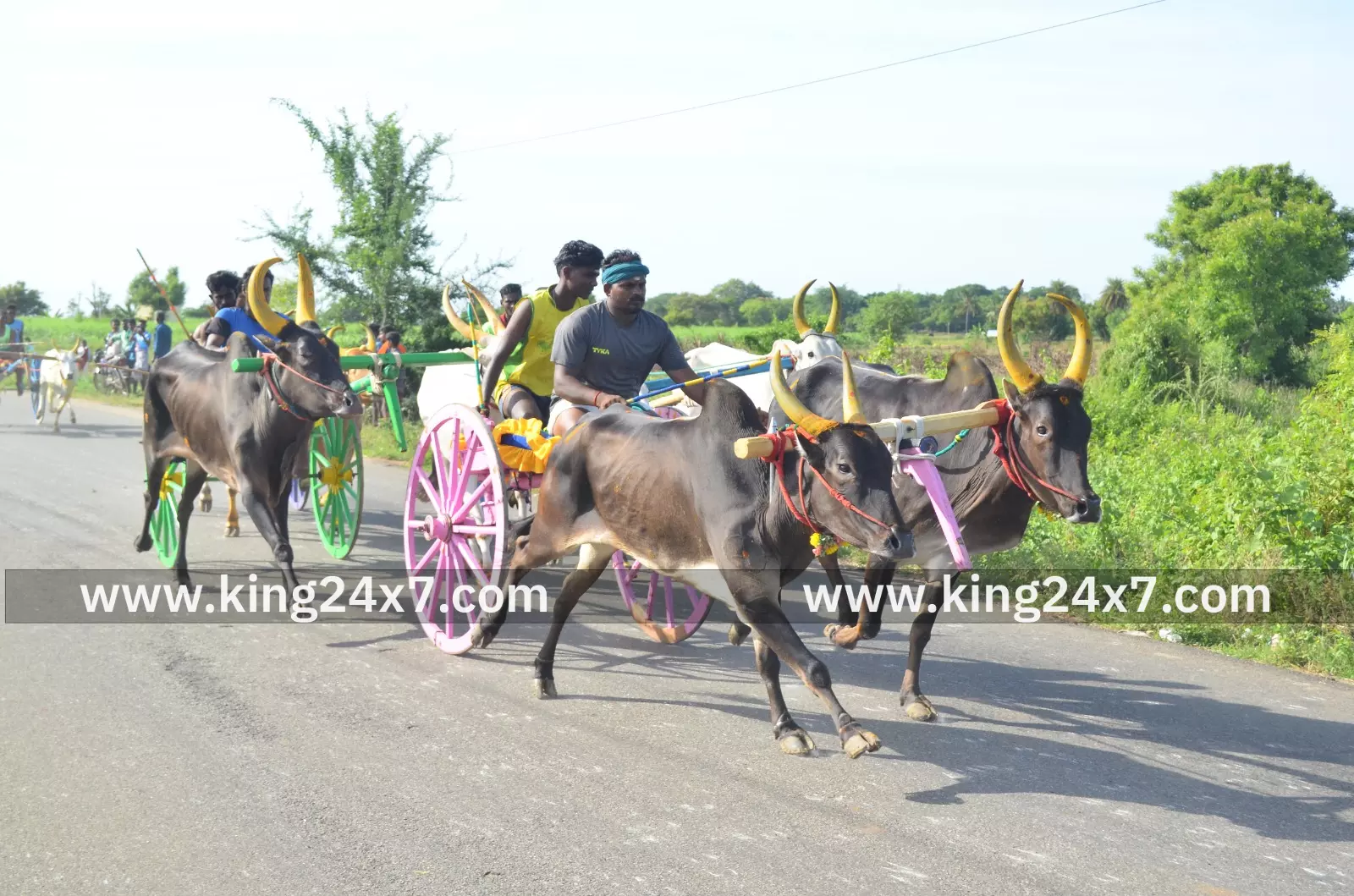 மேலூரில் மாட்டுவண்டி பந்தயம். மேலூரில் மாட்டுவண்டி பந்தயம்.