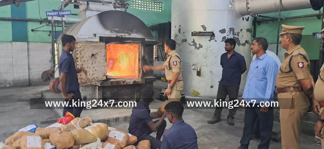 பல்வேறு வழக்குகளில் தொடர்புடைய கஞ்சா செடிகள் அழிப்பு பல்வேறு வழக்குகளில் தொடர்புடைய கஞ்சா செடிகள் அழிப்பு