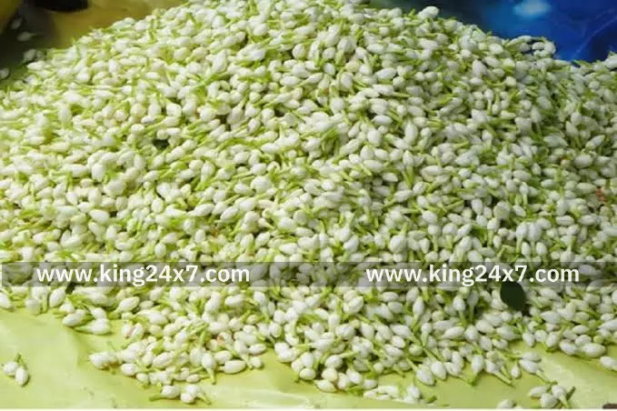 சங்கரன்கோவில் பூ மார்க்கெட்டில் இன்றைய விலை நிலவரம்