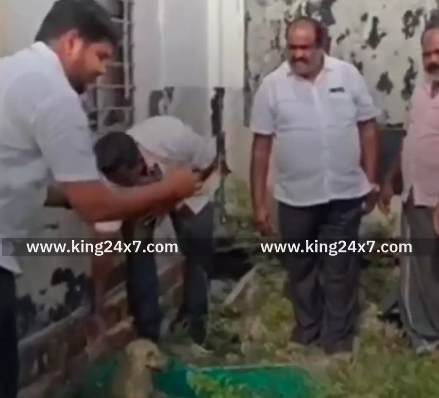 தெரு நாய்களுக்கு வெறிநோய் தடுப்பூசி!