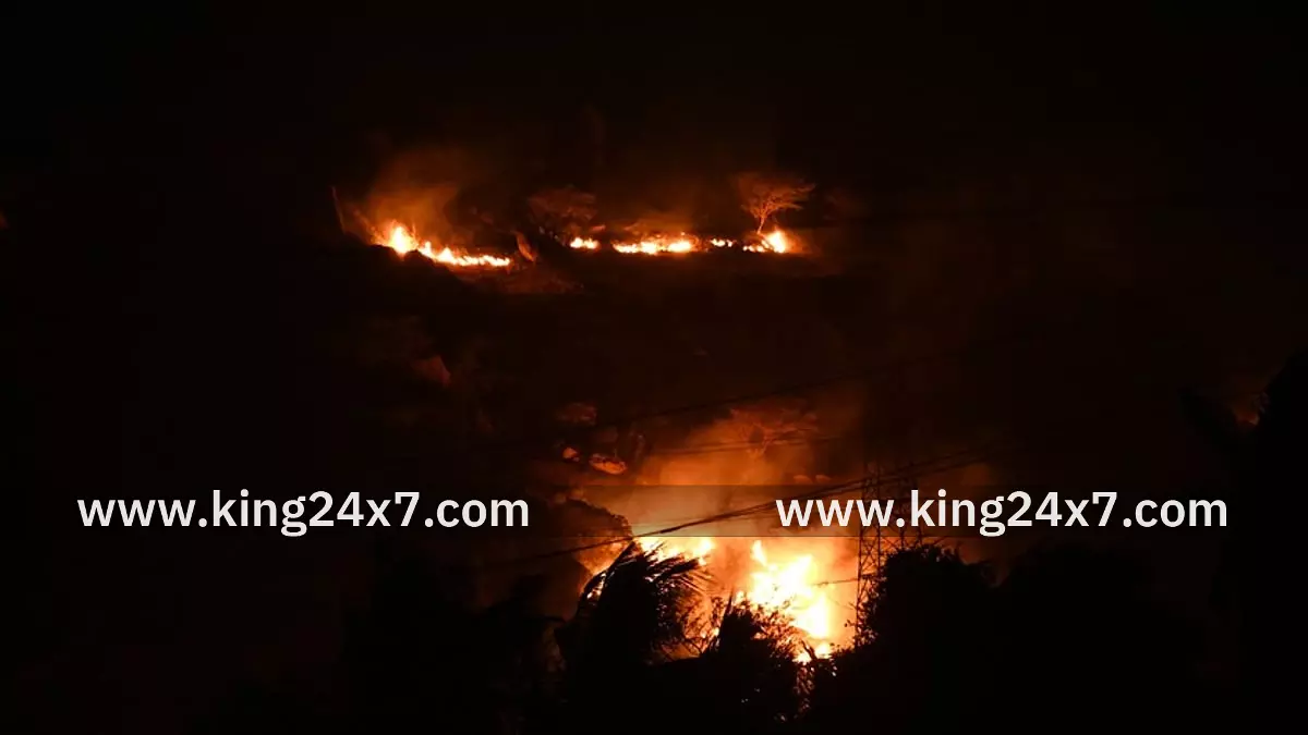 தென்காசி அருகே மலையில் தீ விபத்து