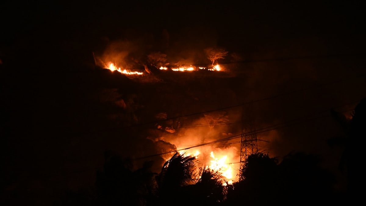 தென்காசி அருகே மலையில் தீ விபத்து