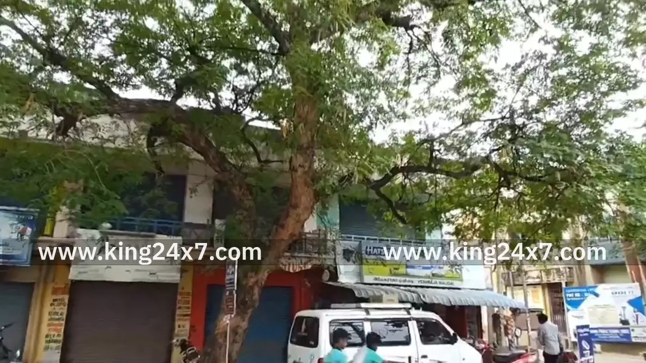 கறம்பக்குடி தானியக்கடையில் திருட்டு! கறம்பக்குடி தானியக்கடையில் திருட்டு!