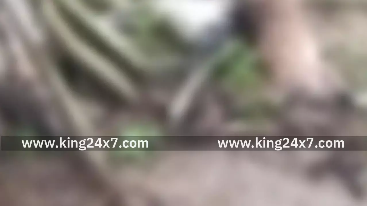 புதுக்கோட்டை அருகே மின்னல் தாக்கி விபரீதம் புதுக்கோட்டை அருகே மின்னல் தாக்கி விபரீதம்