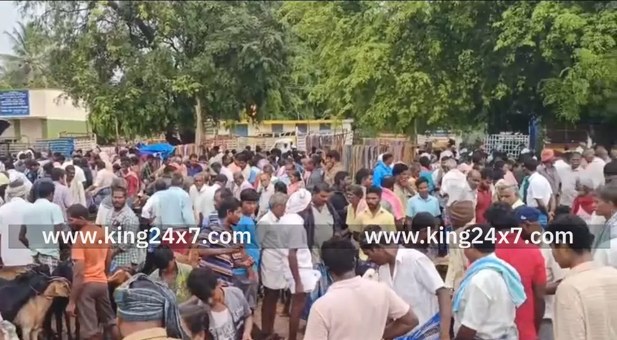 காரிமங்கலத்தில் கால்நடைகள் விற்பனை ஜோர் காரிமங்கலத்தில் கால்நடைகள் விற்பனை ஜோர்