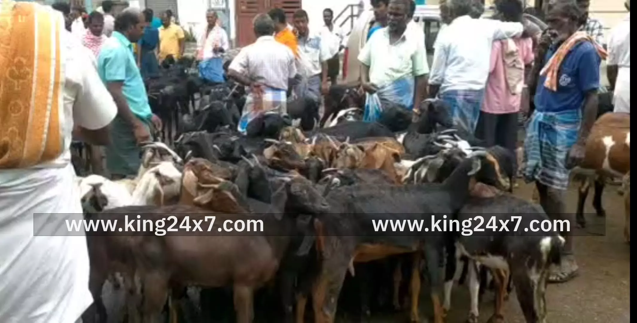 காரிமங்கலத்தில் கால்நடைகள் விற்பனை ஜோர் காரிமங்கலத்தில் கால்நடைகள் விற்பனை ஜோர்