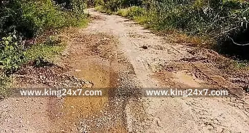 பனங்குளம் கிராம சாலையை சீரமைக்க வேண்டுமென பொதுமக்கள் கோரிக்கை பனங்குளம் கிராம சாலையை சீரமைக்க வேண்டுமென பொதுமக்கள் கோரிக்கை