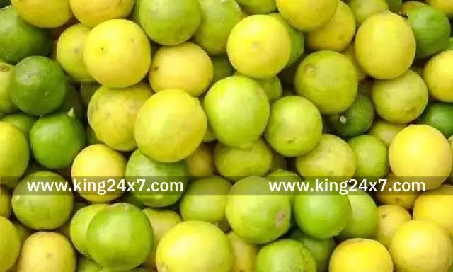 சங்கரன்கோவில் எலுமிச்சை மார்க்கெட்டில் பட்டியல் விலை சங்கரன்கோவில் எலுமிச்சை மார்க்கெட்டில் பட்டியல் விலை