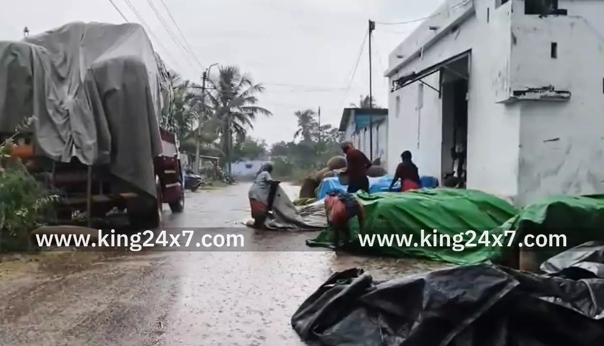 மூட்டை மூட்டையாக நாசமாகிய நெல்