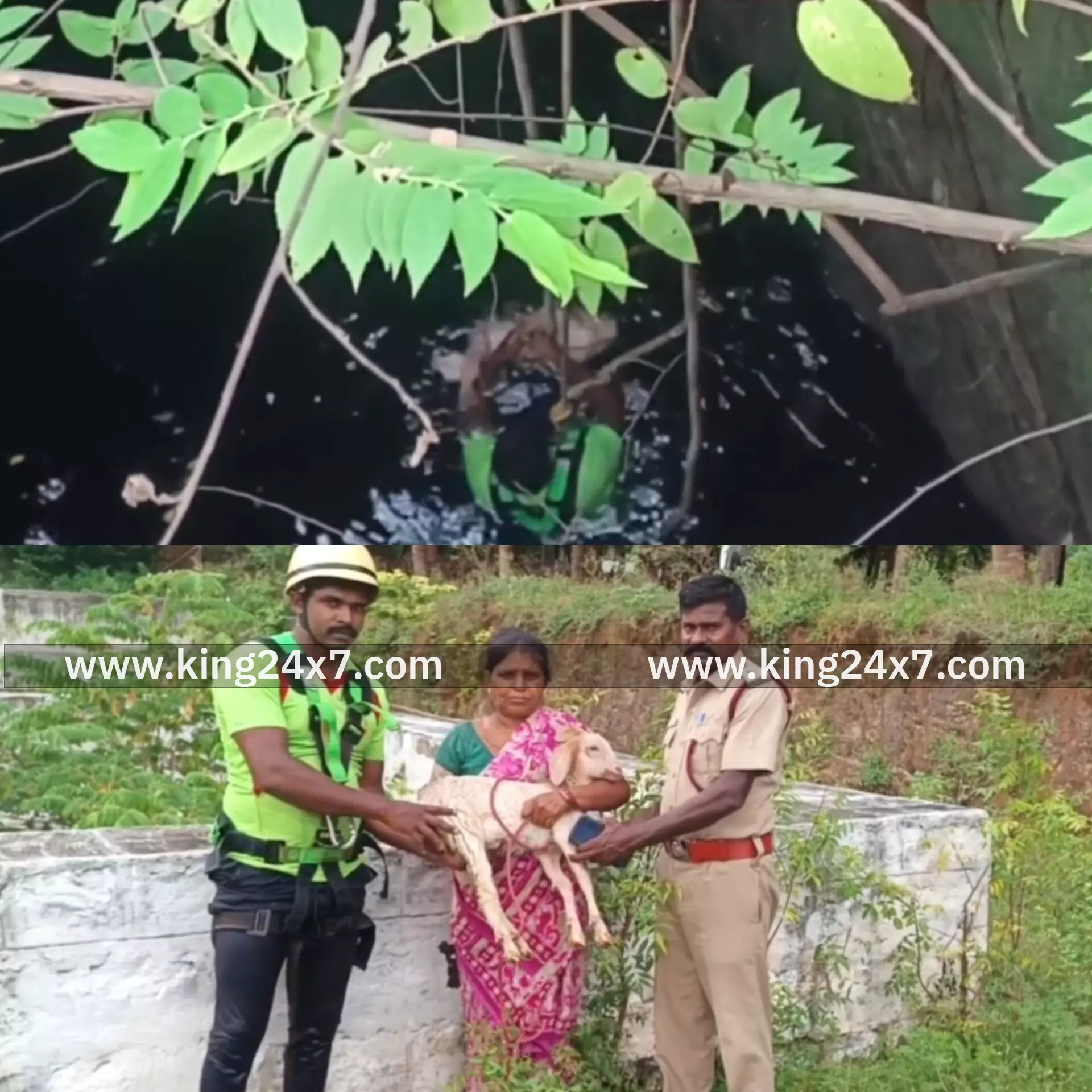 ராசிபுரம் அருகே 80 அடி ஆழ கிணற்றில் தவறி விழுந்த ஆட்டை உயிருடன் மீட்ட தீயணைப்பு துறையினர்...