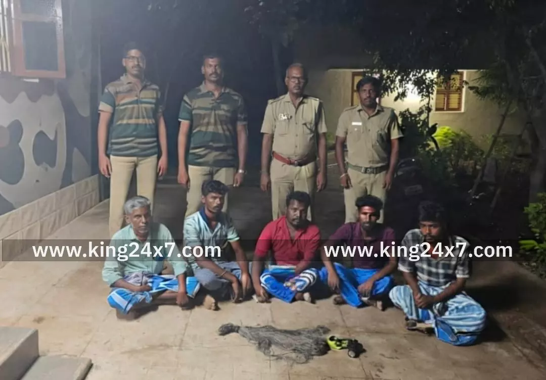 வவ்வால் வேட்டையில் ஈடுபட்டதாக 5 பேரை பிடித்து விசாரணை