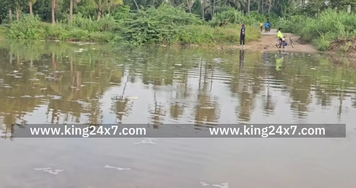 வாணியம்பாடி அருகே தொடர் மழை காரணமாக பாலாற்றில் நீர்வரத்து அதிகரித்துள்ளது இதனால் விவசாயிகள் மற்றும் பொதுமக்கள் மகிழ்ச்சி அடைந்துள்ளனர்..