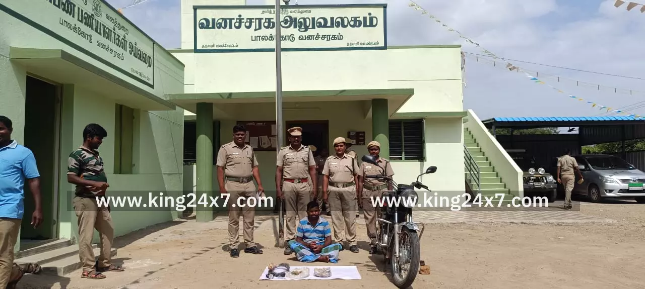 வனவிலங்குகளை வேட்டையாட முயன்றவர் கைது வனவிலங்குகளை வேட்டையாட முயன்றவர் கைது