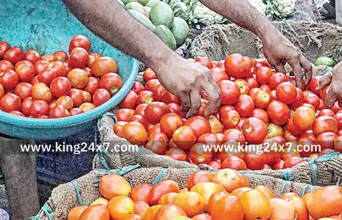 சங்கரன் கோவிலில் தக்காளியின் இன்று 1ரூபாய் முதல் 5ரூபாய் வரை விற்பனை சங்கரன் கோவிலில் தக்காளியின் இன்று 1ரூபாய் முதல் 5ரூபாய் வரை விற்பனை