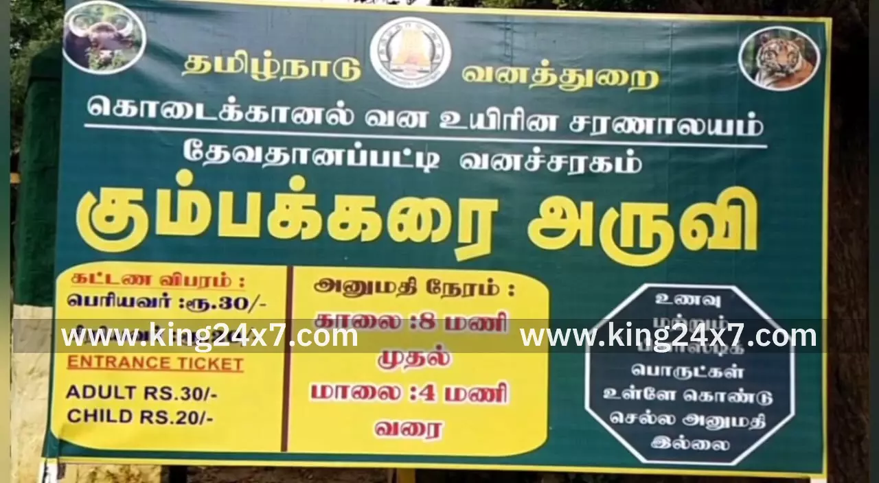 கும்பக்கரை அருவியில் மீண்டும் வெள்ளப்பெருக்கு ஏற்பட்டுள்ளதால் சுற்றுலா பயணிகள் குளிக்க தடை - சுற்றுலாப் பயணிகள் ஏமாற்றம் கும்பக்கரை அருவியில் மீண்டும் வெள்ளப்பெருக்கு ஏற்பட்டுள்ளதால் சுற்றுலா பயணிகள் குளிக்க தடை - சுற்றுலாப் பயணிகள் ஏமாற்றம்