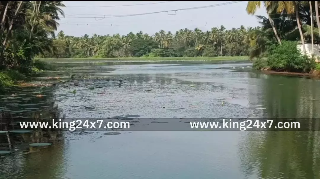 குளத்தில் தலை இல்லாத குழந்தை சடலம்