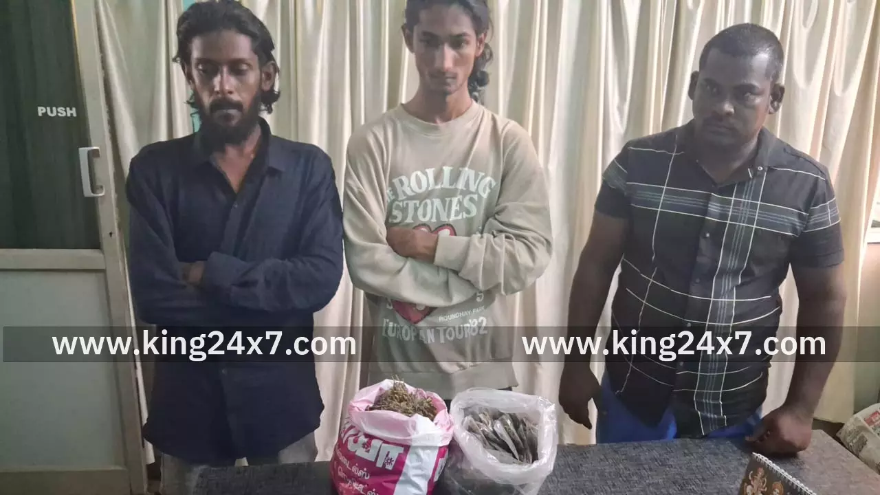 நாகர்கோவில் : கஞ்சா கடத்திய 3 பேர் கைது