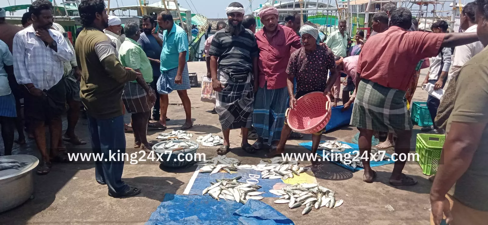 குளச்சல் : அயரை மீன்கள் விலை வீழ்ச்சி