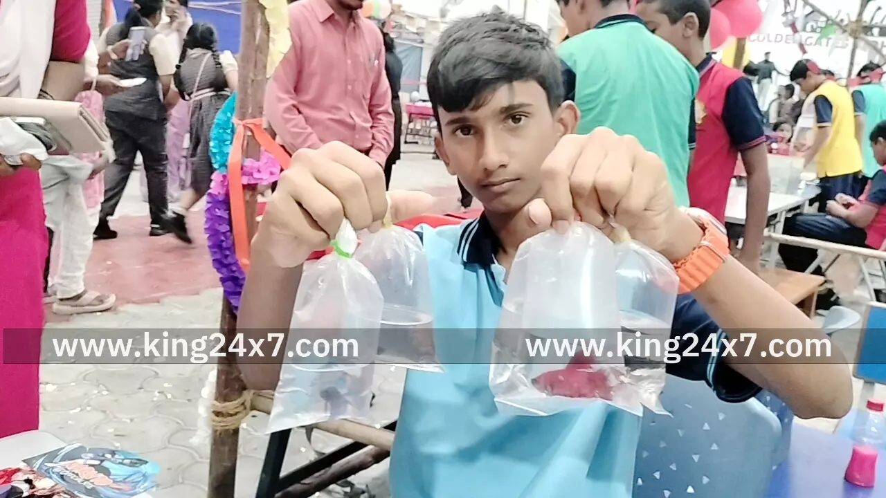 கோல்டன் கேட்ஸ் வித்யாஷ்ரம் பள்ளியில் மாணவர்களின் தொழிலதிபர் தினம் கோல்டன் கேட்ஸ் வித்யாஷ்ரம் பள்ளியில் மாணவர்களின் தொழிலதிபர் தினம்