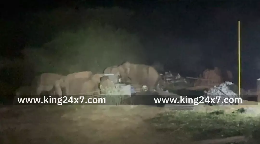 கோவை அருகே குட்டிகளுடன் ஊருக்குள் புகுந்த காட்டு யானைகள் : வைரலான வீடியோ காட்சி கோவை அருகே குட்டிகளுடன் ஊருக்குள் புகுந்த காட்டு யானைகள் : வைரலான வீடியோ காட்சி