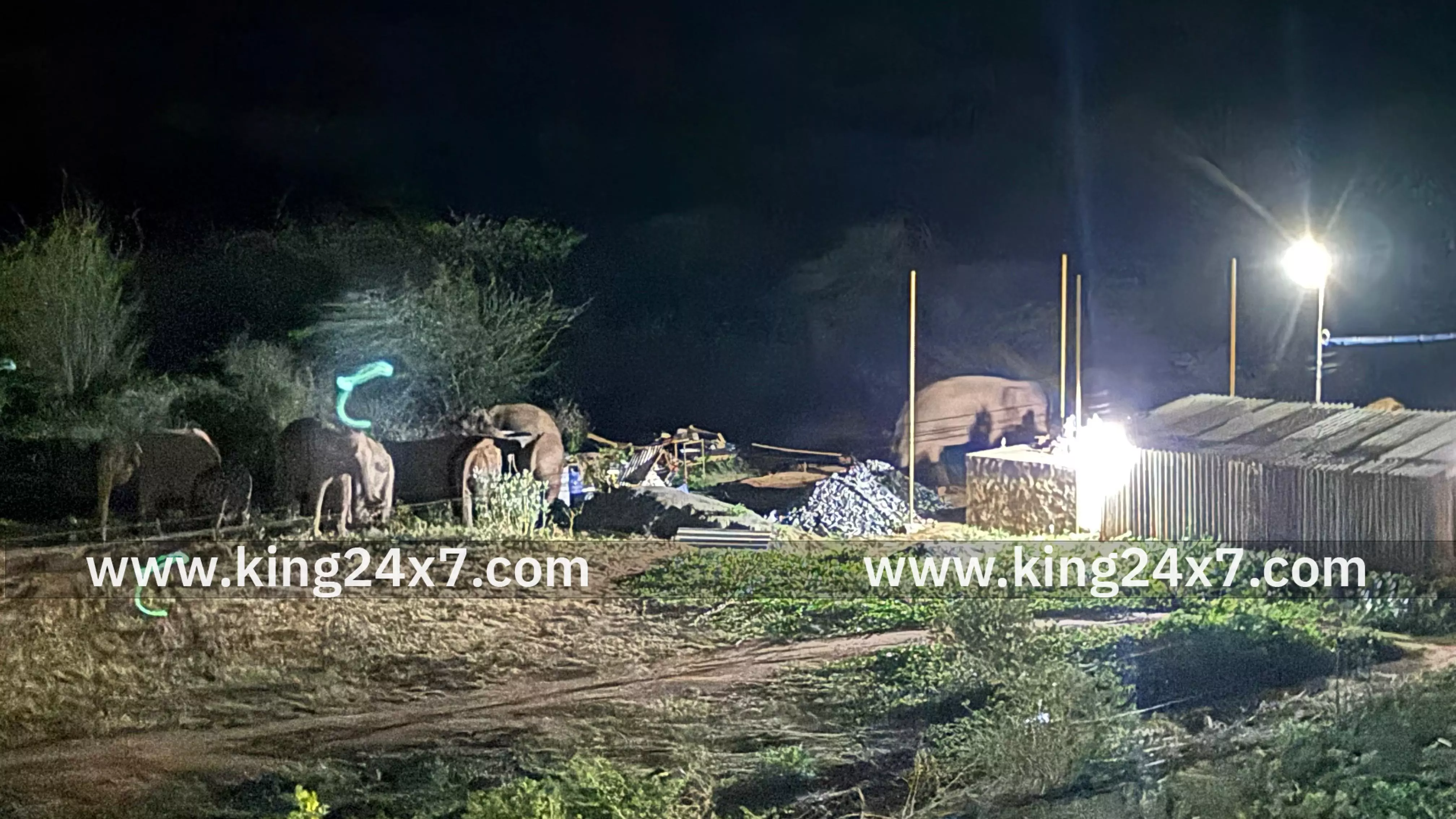 கோவை அருகே குட்டிகளுடன் ஊருக்குள் புகுந்த காட்டு யானைகள் : வைரலான வீடியோ காட்சி கோவை அருகே குட்டிகளுடன் ஊருக்குள் புகுந்த காட்டு யானைகள் : வைரலான வீடியோ காட்சி