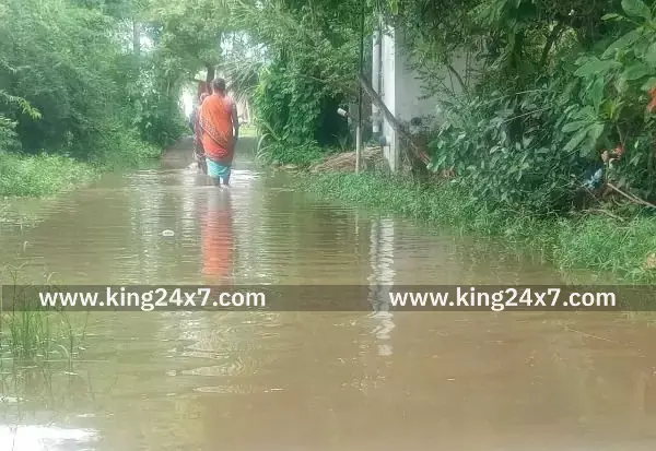 தெருவில் தேங்கிய மழைநீரால் காட்டுப்பாக்கம் கிராம மக்கள் அவதி
