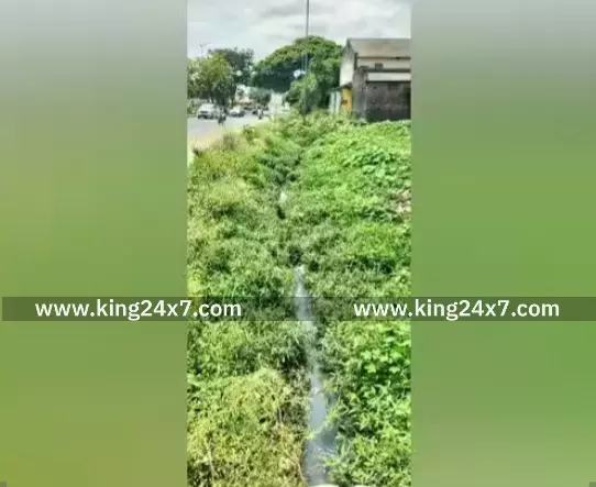 கழிவுநீர் கால்வாயை துார்வாரி சீரமைக்க நடவடிக்கை எடுக்க வேண்டும் என,  மக்கள் கோரிக்கை