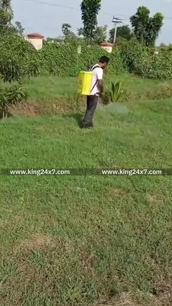 தொழில்நுட்பக் கல்லூரி முதல்வர் களப்பணியில் தீவிரம்! தொழில்நுட்பக் கல்லூரி முதல்வர் களப்பணியில் தீவிரம்!