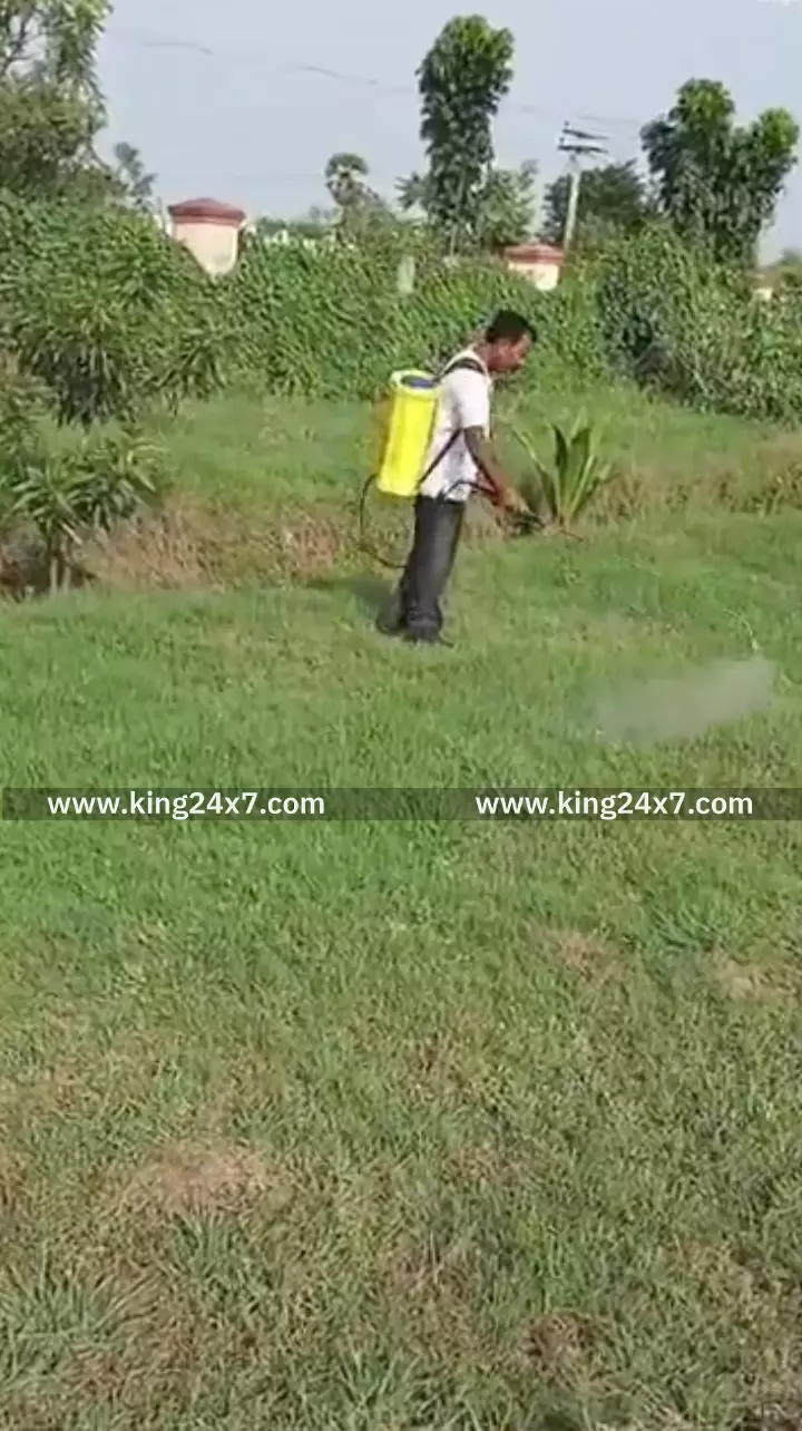 தொழில்நுட்பக் கல்லூரி முதல்வர் களப்பணியில் தீவிரம்! தொழில்நுட்பக் கல்லூரி முதல்வர் களப்பணியில் தீவிரம்!