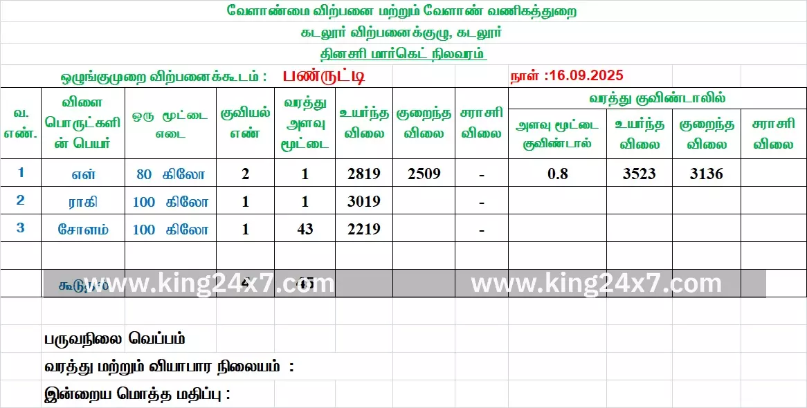 பண்ருட்டியில் சோளம் வரத்து அதிகரிப்பு பண்ருட்டியில் சோளம் வரத்து அதிகரிப்பு