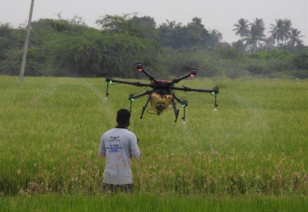 நெற்பயிருக்கு ட்ரோன் மூலம் மருந்து தெளிப்பு