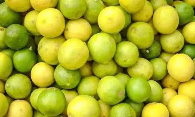 சங்கரன்கோவில் எலுமிச்சை மார்க்கெட்டில் பட்டியல் விலை