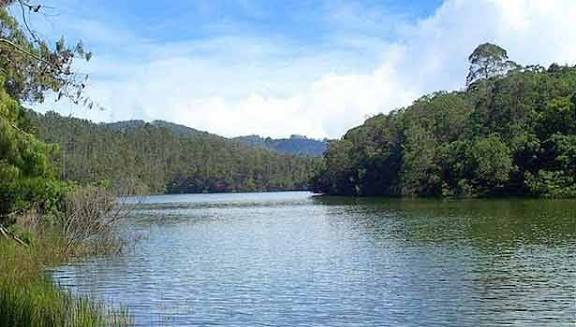 பேரிஜம் ஏரியை சுற்றி பார்க்க சுற்றுலா பயணிகளுக்கு அனுமதி