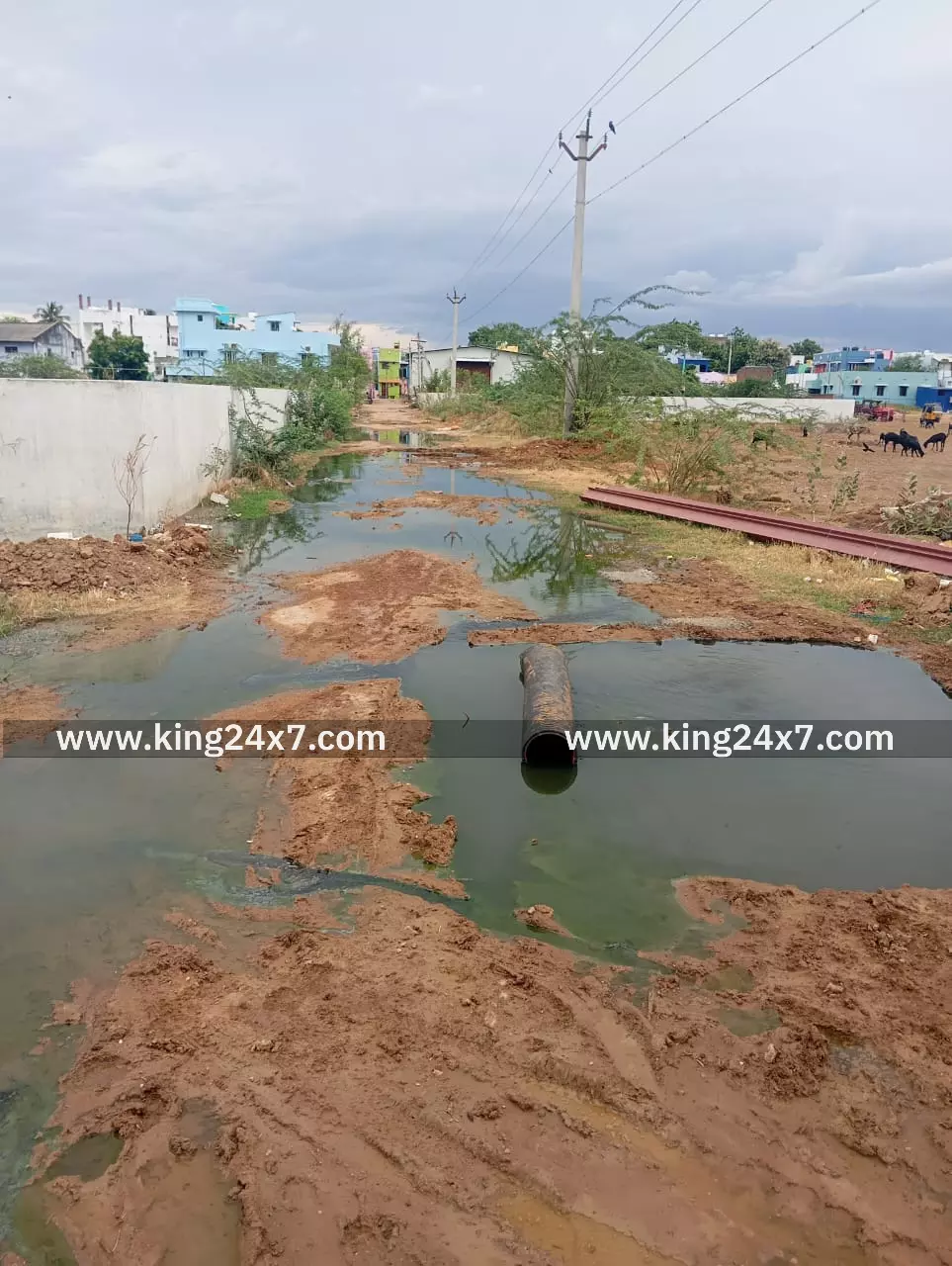 மாவட்ட,மாநகராட்சி நிர்வாகத்திற்கு கோரிக்கை