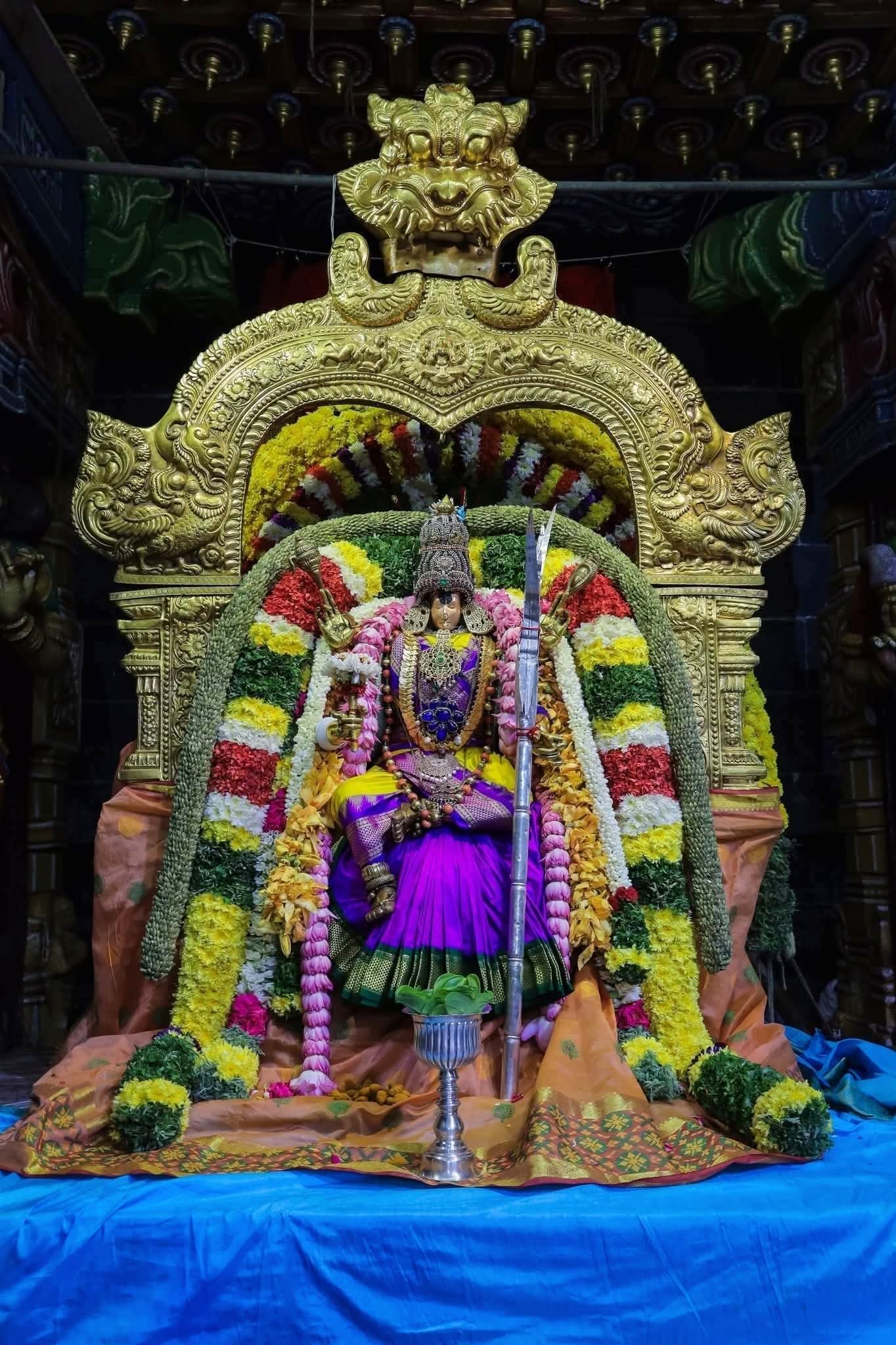 மீனாட்சி அம்மன் கோவிலின் நவராத்திரி விழா விவரம் மீனாட்சி அம்மன் கோவிலின் நவராத்திரி விழா விவரம்