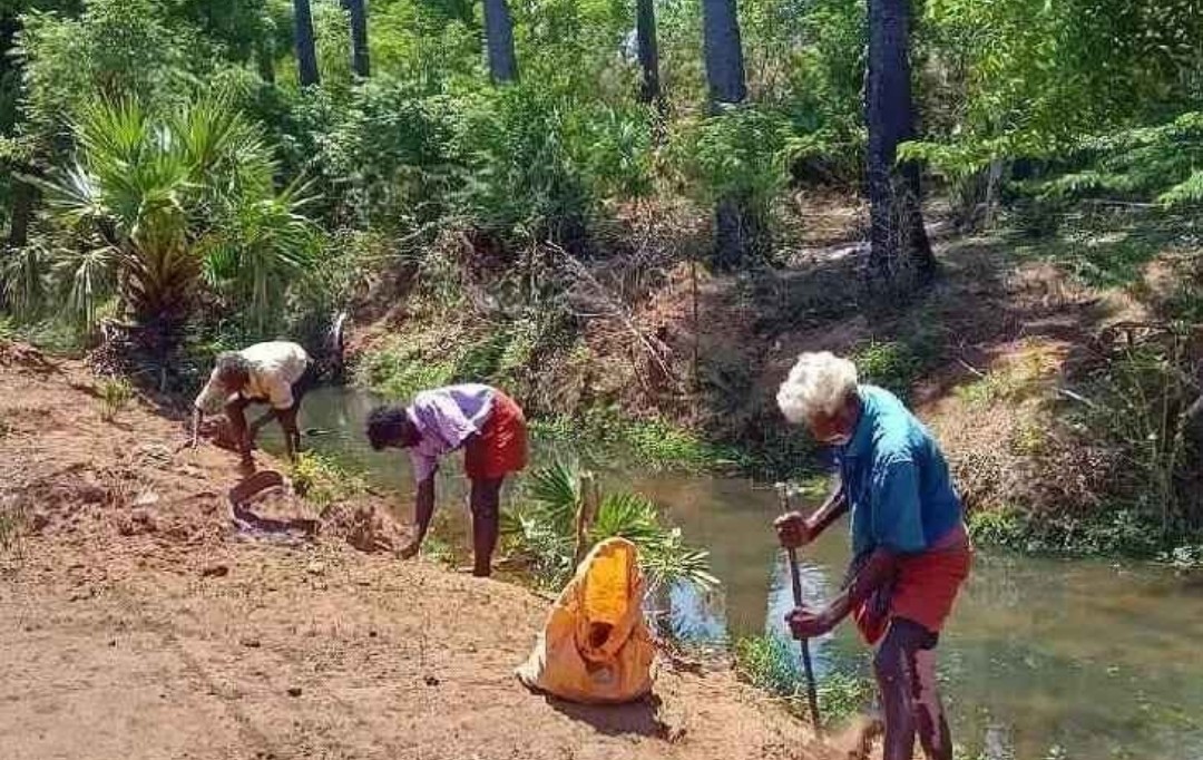 1200 பனை விதைகள் நடும் பணி