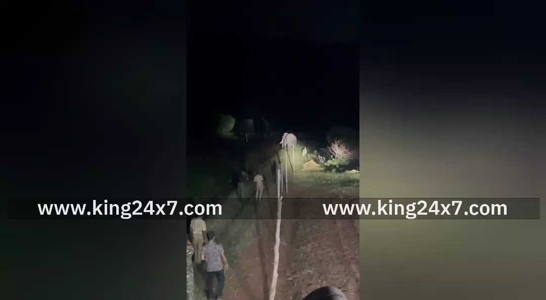 கோவையில் காட்டு யானை “ரோலக்ஸ்” மாயம் – இரவில் மயக்க ஊசி செலுத்திய வீடியோ அதிர்ச்சி !