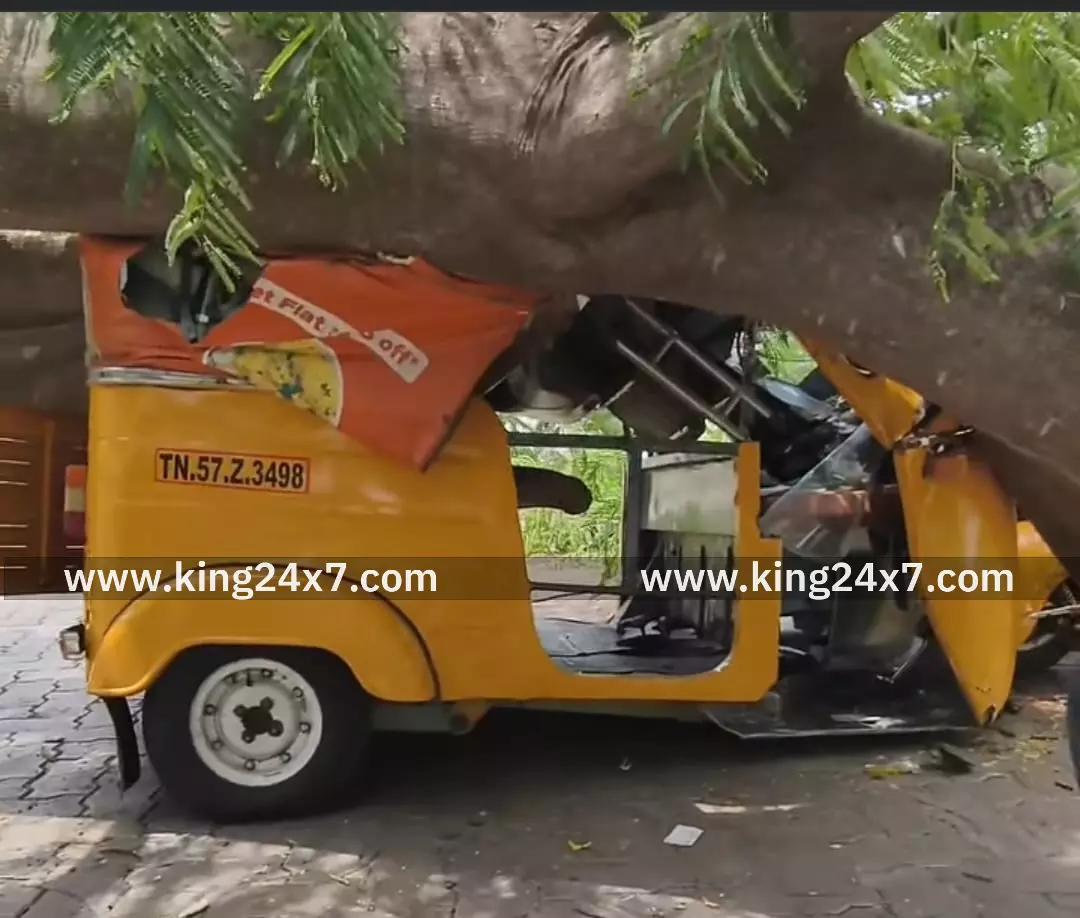 ஒட்டன்சத்திரம்: ஆட்டோ மீது மரம் சாய்ந்ததில் ஒருவர் காயம்